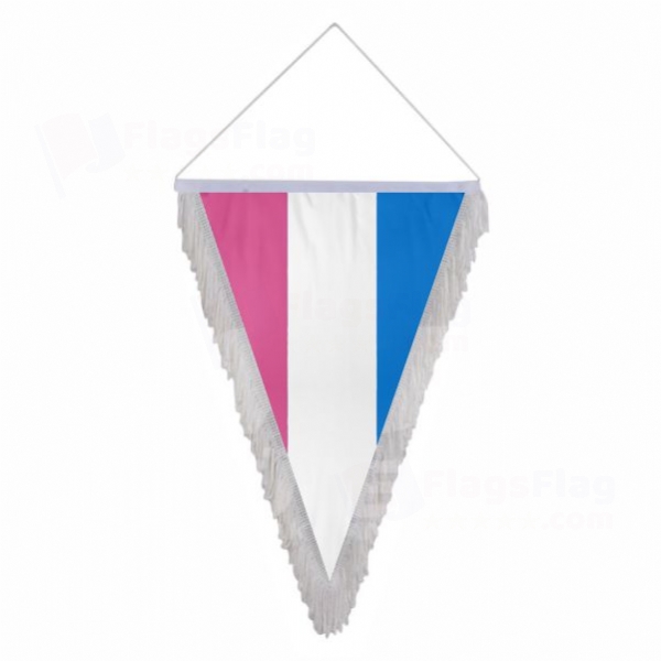 Bandera Heterosexual Triangle Fringed Streamers