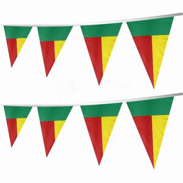 Benin Stringed Triangle Flag