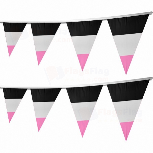 Rainbow Femaric Stringed Triangle Flag