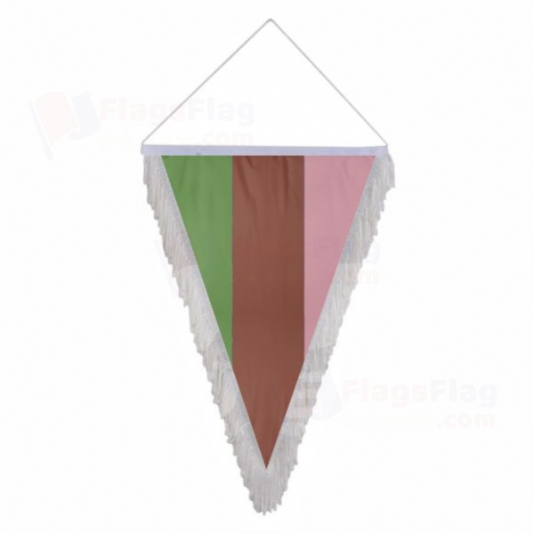 Rainbow Gynesexual Triangle Fringed Streamers