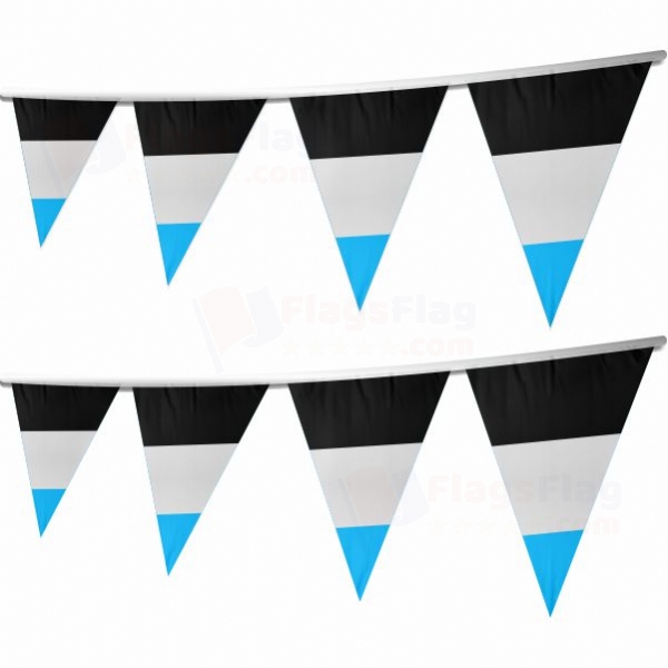 Rainbow Mascic Stringed Triangle Flag