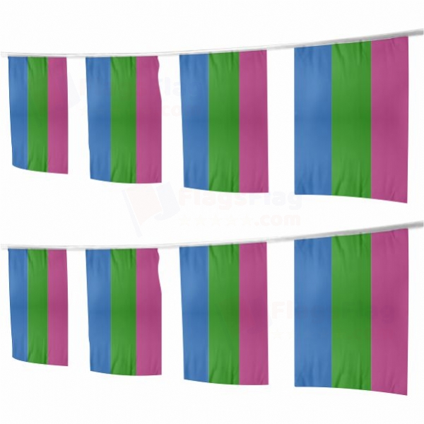 Rainbow Polysexuality Square String Flags