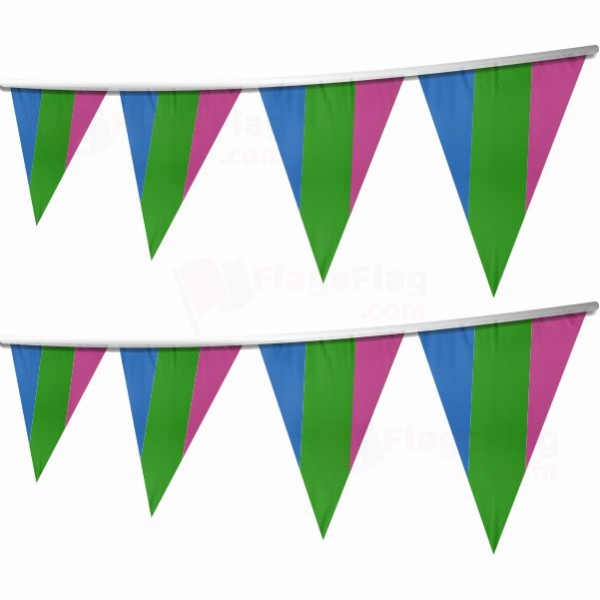 Rainbow Polysexuality Stringed Triangle Flag