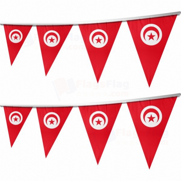 Tunisian Stringed Triangle Flag